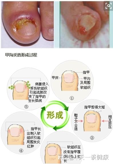 殷桃 第23页